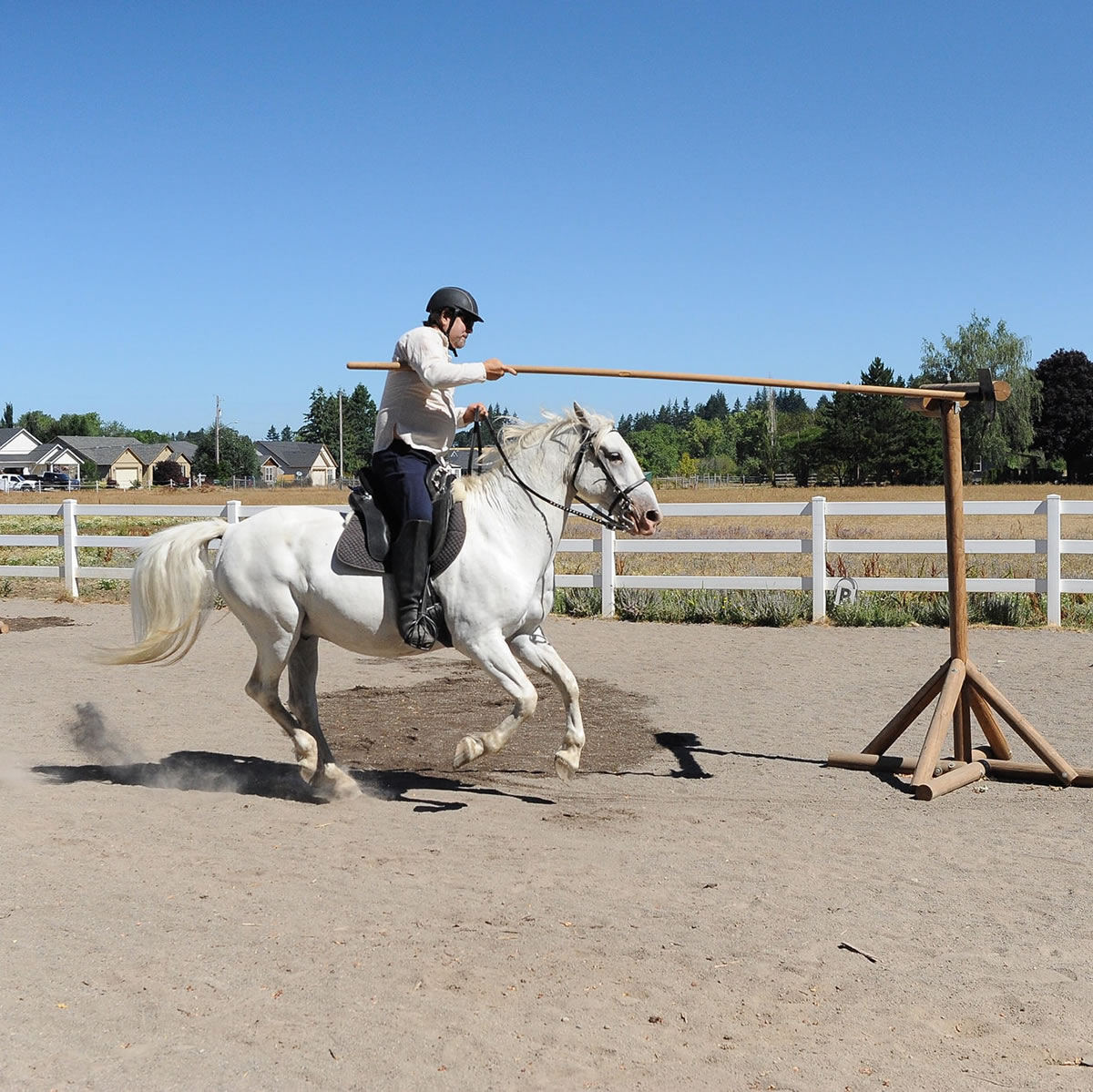 Equestrian Practice